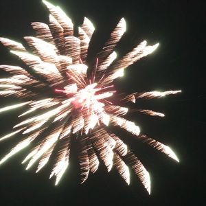 Meet your Posher, Hunter